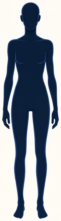 Lean body-build illustration