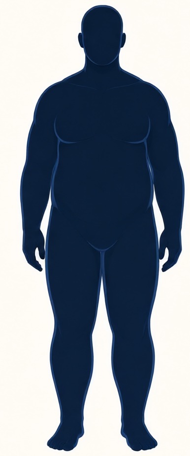 Fuller body-build illustration